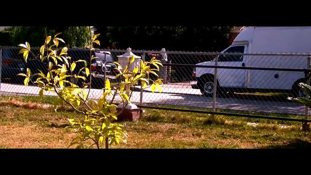 Samsung HMX-H100 Cinematic Montage смотреть онлайн