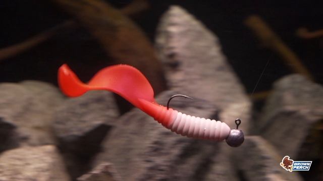 Видеообзор Brown Perch Lamprey