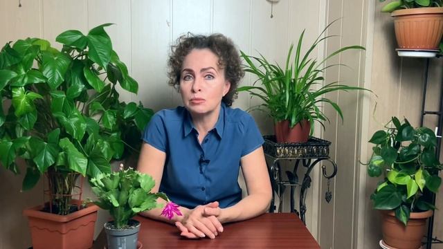 ДЕКАБРИСТ: Тонкости и Секреты Ухода