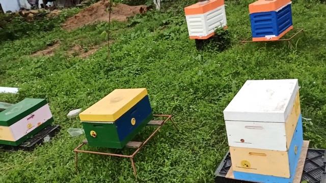 Второй точок ( стационарный ) как обстоят дела. смотреть онлайн