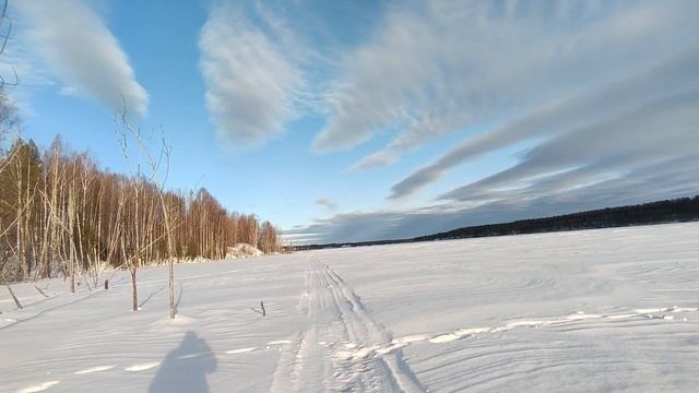 Землянка в лесу стала теплей. Запенил щели. Готовлю стейки смотреть онлайн