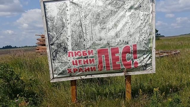 лес в России смотреть онлайн