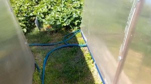 Как сделать летний водопровод для полива самому.