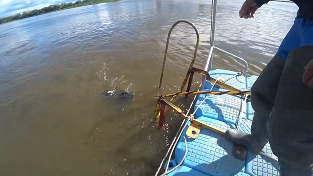 Тобол - водолазные сборы смотреть онлайн