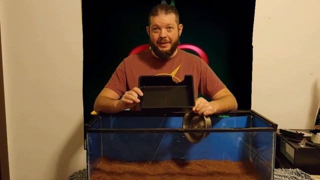 BALL PYTHON SETUP! Setting up a 20 Gallon Tank for a pet Ball Python. смотреть онлайн