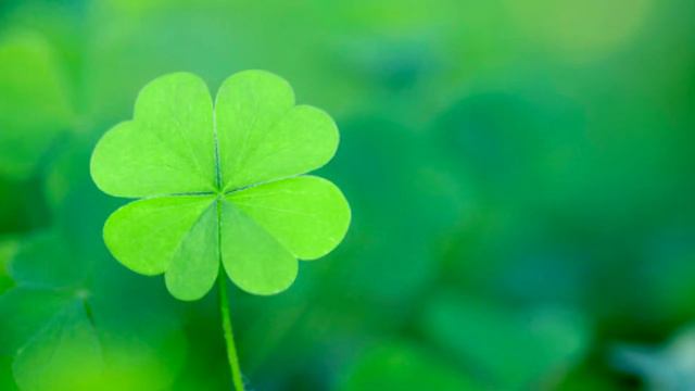 Novo PATTERN *RARO* no CS:GO! смотреть онлайн