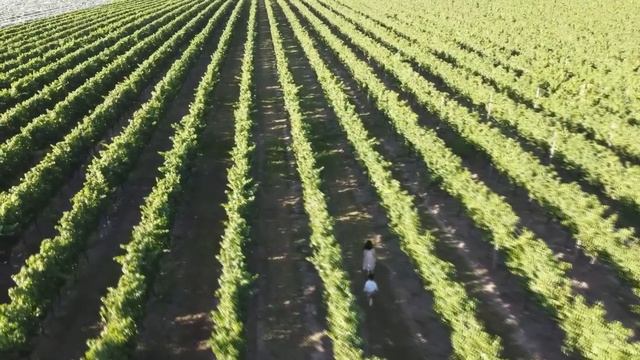 Помните ПАРНЯ, которого БРОСИЛИ в роддоме? Вот, КЕМ он стал, когда ВЫРОС... смотреть онлайн