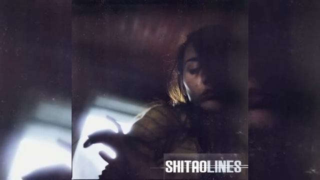 Shitao - Cold Waiting