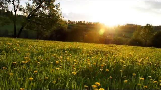 Учим цифры. Весело знакомимся с цифрами. Круто мы играем, цифры изучаем. смотреть онлайн