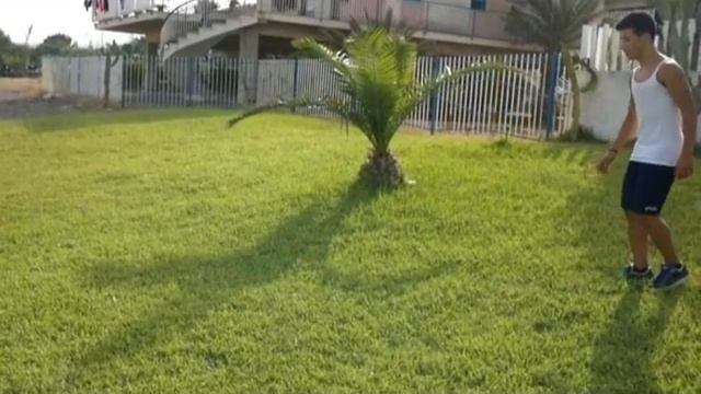 BUTTERFLY TWIST смотреть онлайн