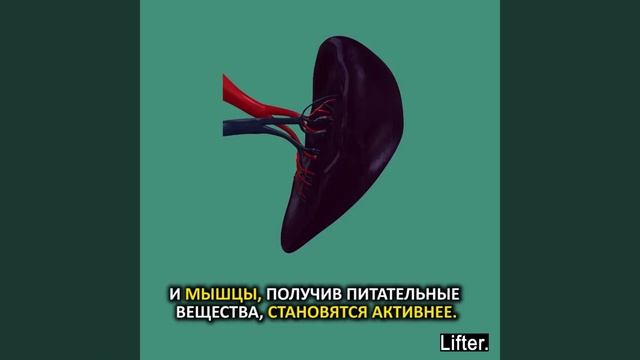 Режим дня по-китайски смотреть онлайн