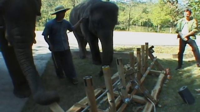 Elephant Keyboard (long version) Don Ritter смотреть онлайн