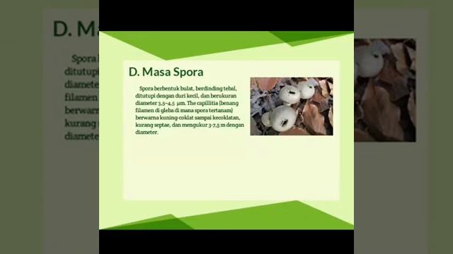 Biologi Kls X Identifikasi Jamur Lycoperdon Perlatum смотреть онлайн