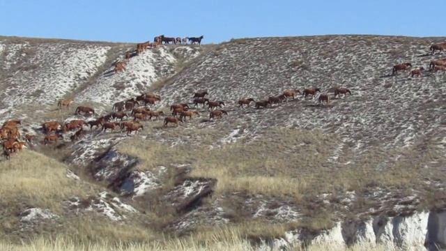 Меловые горы смотреть онлайн