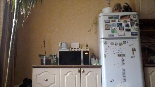 НИНДЗЮЦУ ОБУЧЕНИЕ НИНДЗЯ смотреть онлайн