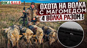 Охота на волков. Выбил всю стаю. Добыл четыре матерых волка за один раз. Выстрелы по волкам!