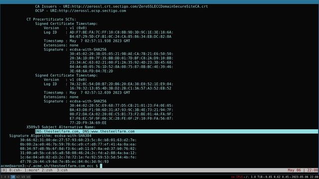 Acme.sh / Nginx Walkthrough смотреть онлайн