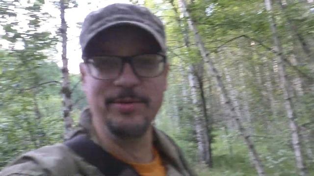 БЕЛЫЕ ГРИБЫ КОСИМ КОСОЙ !!! БЕЛЫЕ ГРИБЫ УЖЕ КРУГОМ!!! ГРИБЫ В ПОДМОСКОВЬЕ 2019! ГРИБЫ 2019 смотреть онлайн