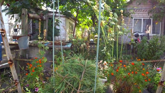 Украина изнутри: село ГУПАЛОВКА. Україна зсередини: село ГУПАЛІВКА