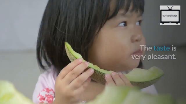Amazing Health Benefits From Melon Seeds