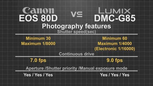 Canon EOS 80D Vs Panasonic Lumix G85