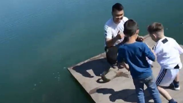 Форелевое хозяйство в г.Тараз 2019 смотреть онлайн