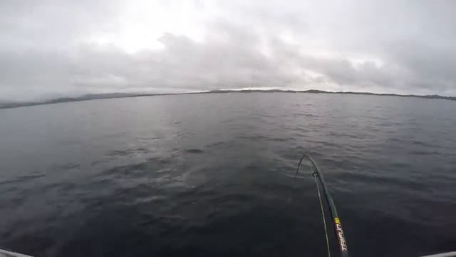 Вкусные блюда пошагово 