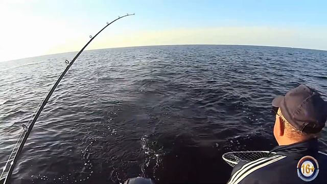 TROLLING. Небольшой обзор приманок, на которые в этом году лучше всего ловился судак на Ладоге. смотреть онлайн