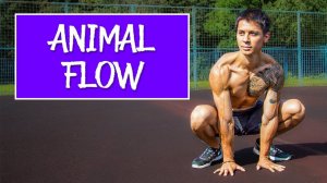 Тренировка ANIMAL FLOW! Комплекс упражнений с естественными движениями!