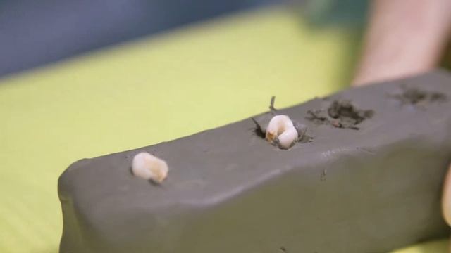 Мастер-класс 20.12.20 (Средняя группа) смотреть онлайн