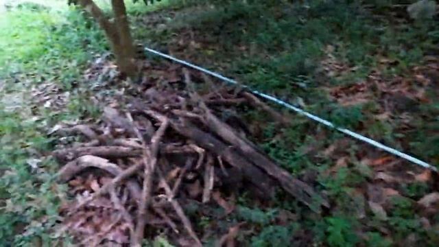 วันว่างๆ ของเด็กดอย ดูแลสวน พาไปเก็บแมคคาเดเมีย смотреть онлайн