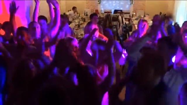 Wedding Невскииииееее Ведущий Андрей Зайцев смотреть онлайн