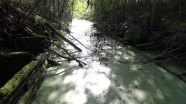 Остроленский шлюз на реке Горюн. Из Сомино на моторе по Тихвинской водной системе. Жуткая находка. смотреть онлайн