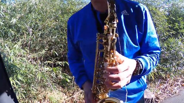 なんちゃって奏者が平原綾香さんのjupiterをアルトサックスで吹いてみました（笑） смотреть онлайн