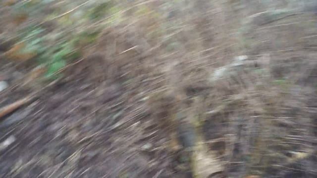 КУПИЛ ДОМ, КОТОРЫЙ СТОЯЛ 15 ЛЕТ смотреть онлайн