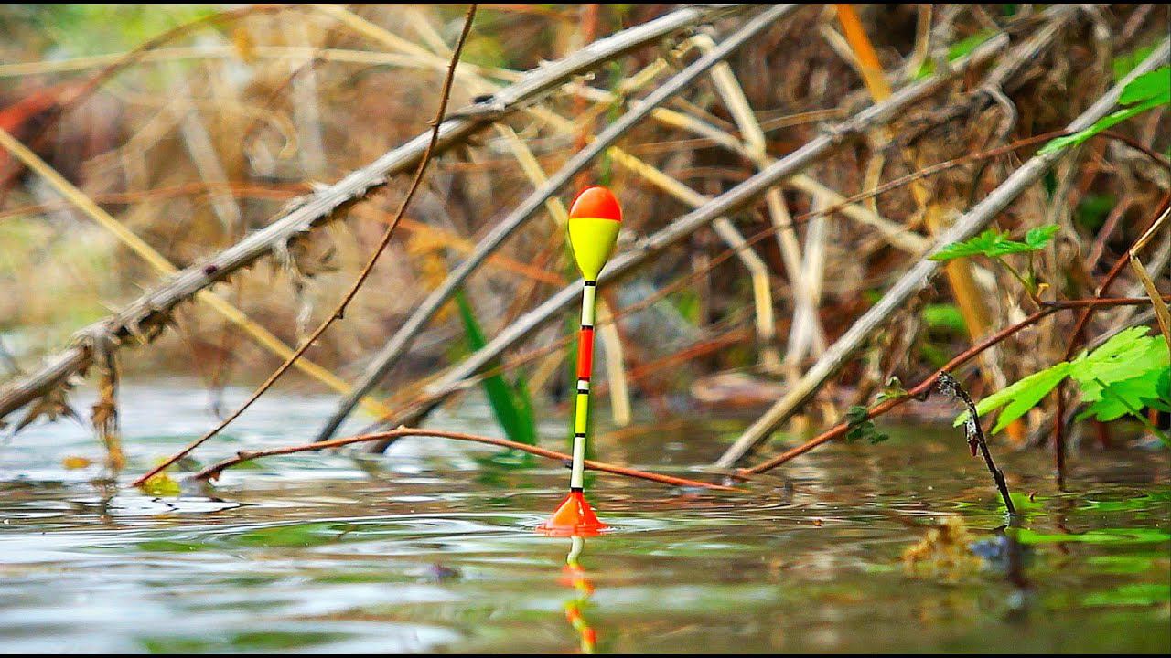 РЫБАЛКА В ЗАТОПЛЕННОМ ЛЕСУ пошла не по плану. МАССОВЫЙ ХОД ВОБЛЫ 2023. Ранний паводок в Астрахани. смотреть онлайн