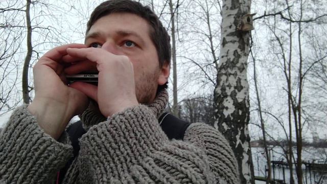 Рифф Low D ♫ на губной гармошке смотреть онлайн
