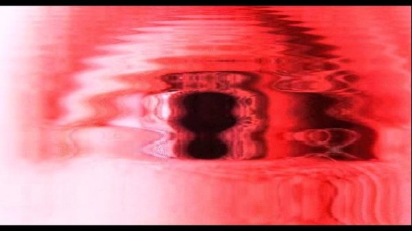 Koko7eevSA Paradoxie - Indoxication