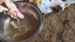 Пайдалы кеңес (лайфхак) қойдың ішек қарның қалай тазалау керек. как почистить бараньи кишки.