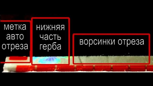 ВЕКСЕЛЬ НА КРОВИ или РЕГИСТРАЦИЯ ПЕРСОНЫ В МФЦ смотреть онлайн