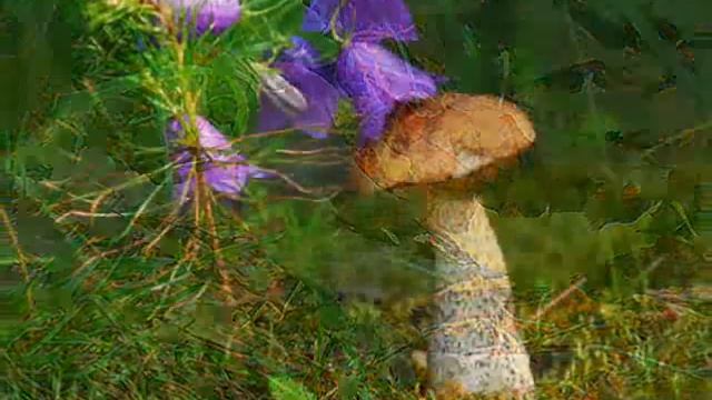 БЛАГОДАРЮ! Осень смотреть онлайн