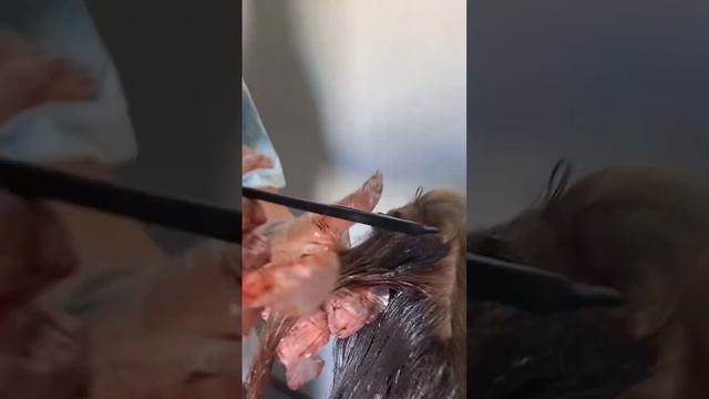 Красим волосы в черно красный ? длинное видео уде в профиле смотреть онлайн