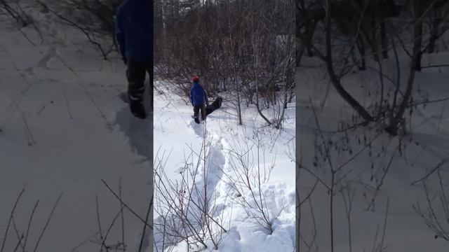 Прогулки с собаками 2 смотреть онлайн
