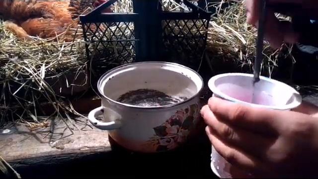 Марганцовка для профилактики курам, как и сколько раз нужно давать. Азы!!!