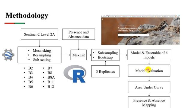 Remote Sensing Data-Driven Approach for Modelling Puccinia Striiformis Distribution смотреть онлайн