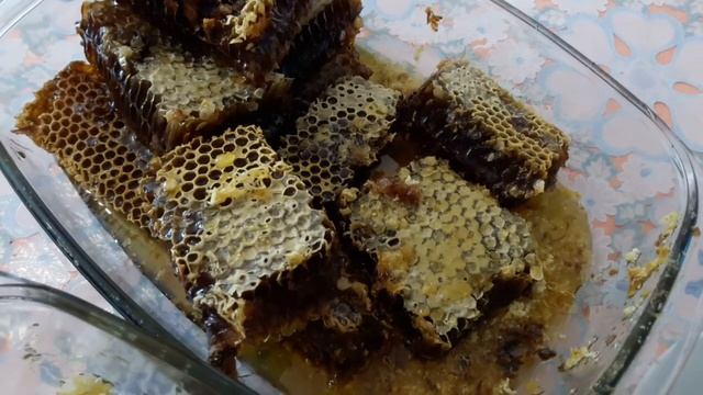 Натуральный мёд или подделка. Мёд фальсификат. Лечебный мёд в сотах смотреть онлайн