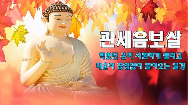 관세음보살 , 행운과 건강을 부르는 놀라운 불가 смотреть онлайн