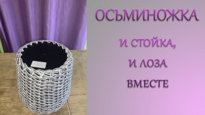 ОСЬМИНОЖКА. И стойка, и лоза. А что, так можно было?