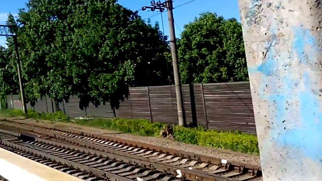 РЖД: Проезд Тепловоза М62-1667 на станции "Шувалово". #36. смотреть онлайн