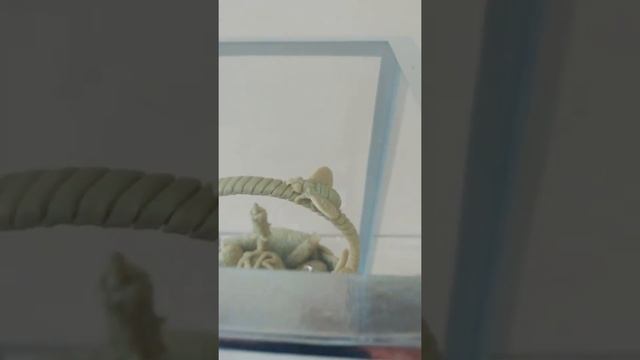 Пластилин. Пасха православная. Пасхальная корзинка. смотреть онлайн